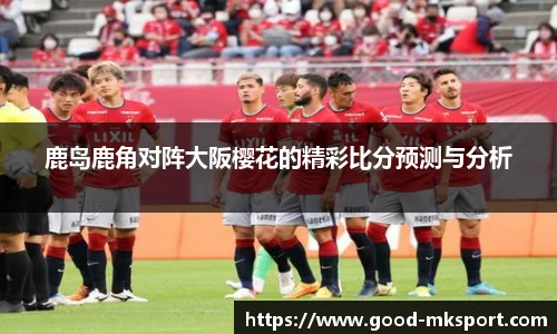 MK体育平台